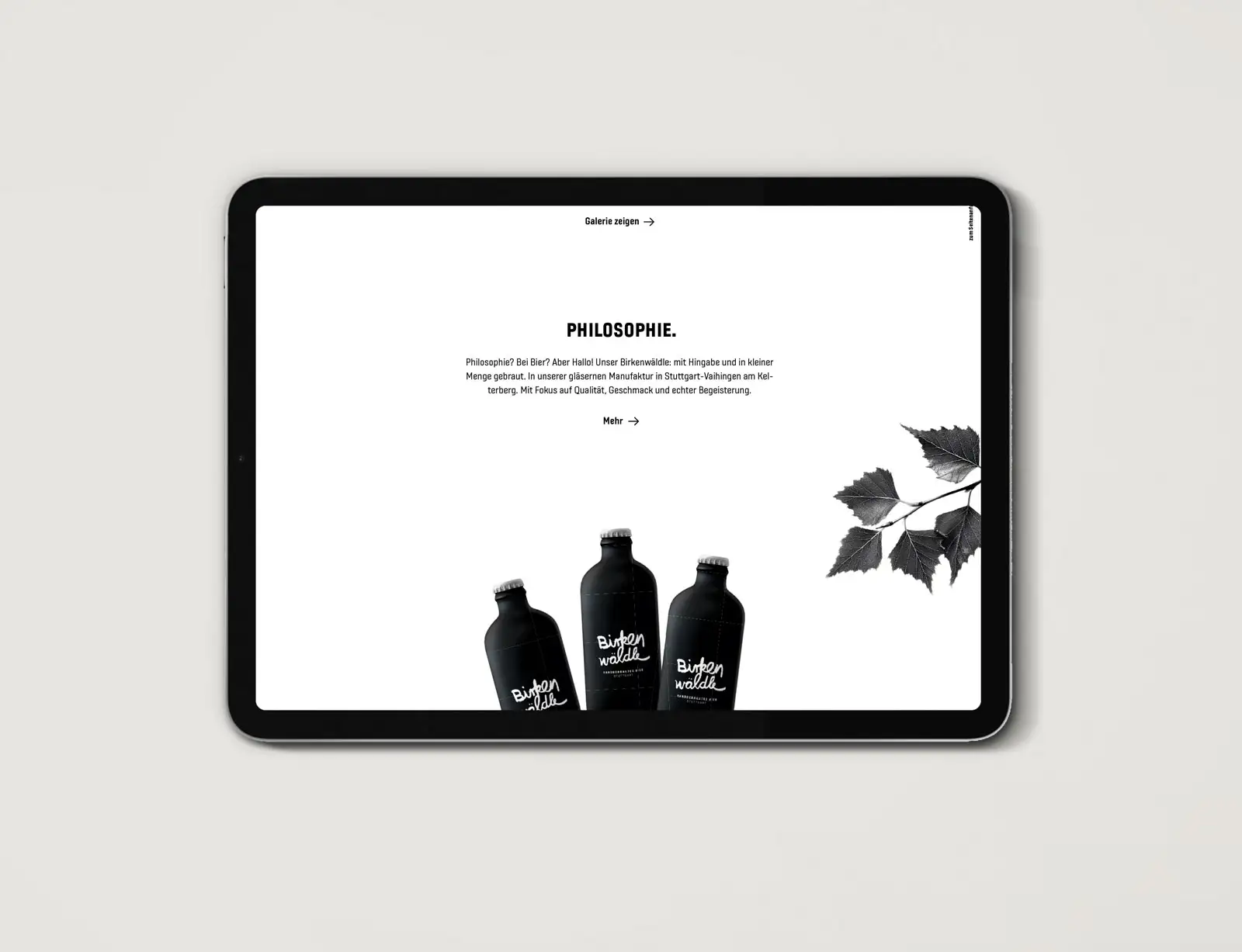 dg birkenwaeldle branding web philo