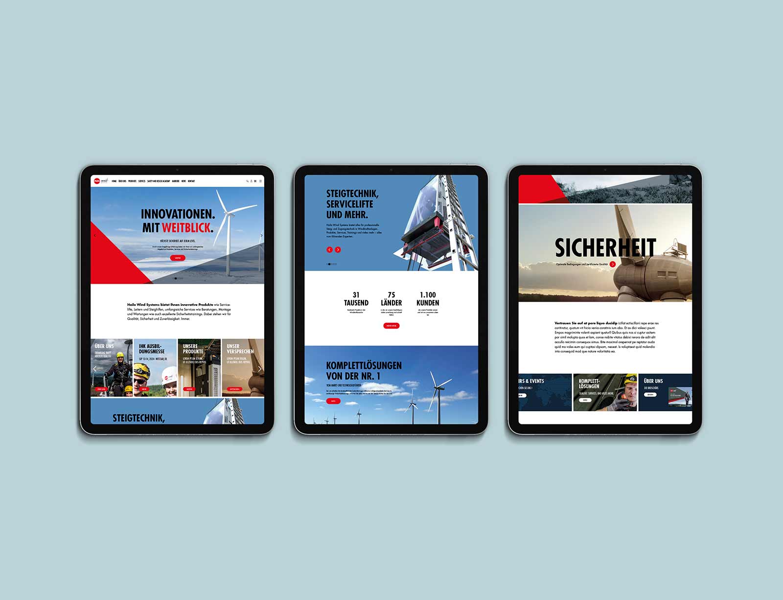 dg hailo web 01