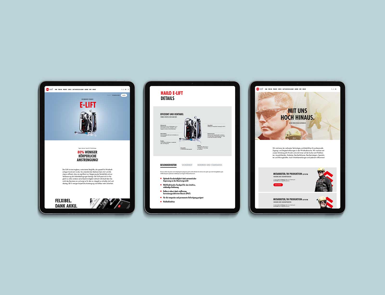 dg hailo web 02