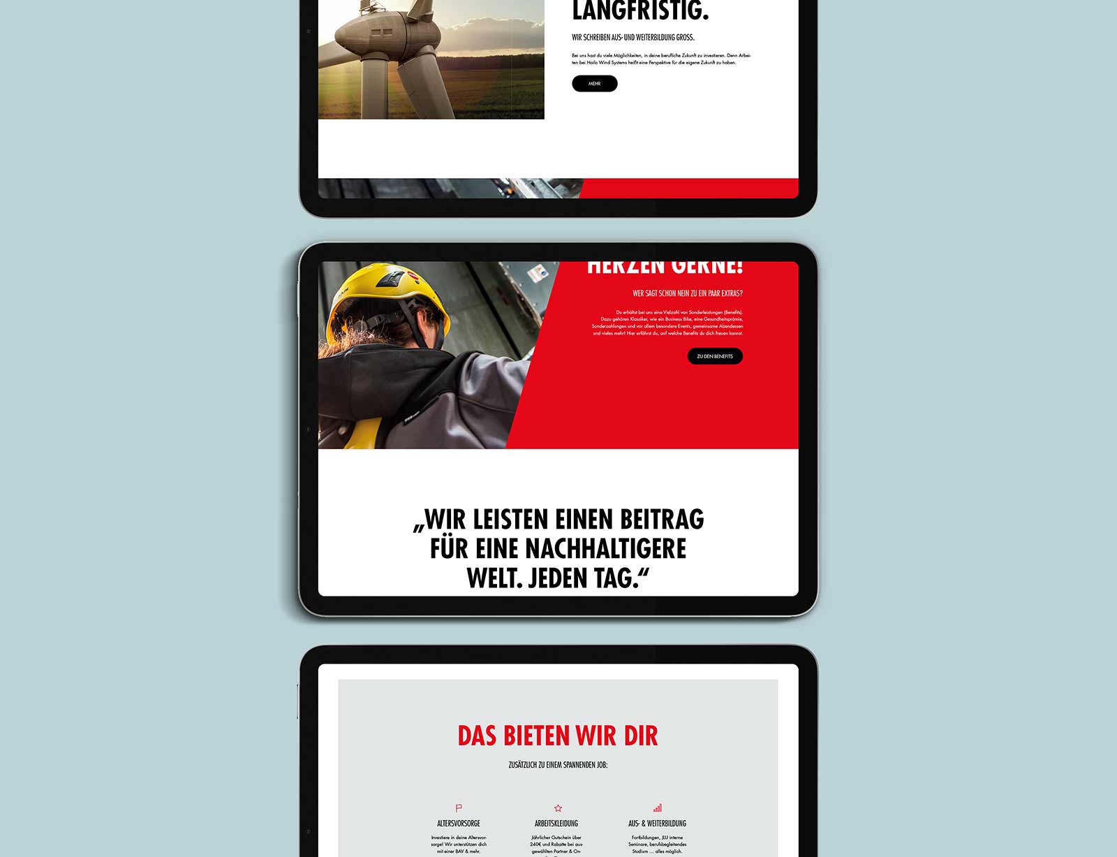 dg hailo web 04