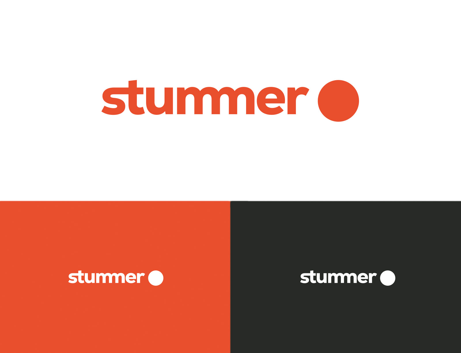 dg stummer branding logo a