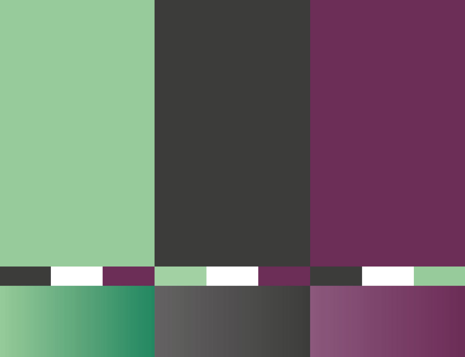dg yogalive branding farben