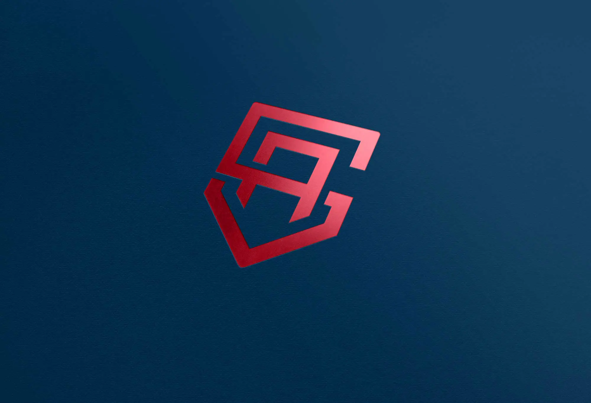 dg fullscreen projekt allsecura logo