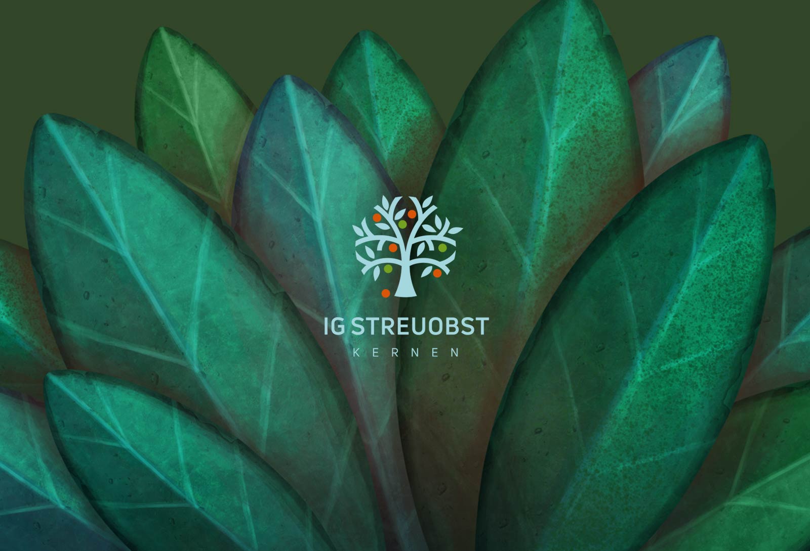 dg hero projekt igstreuobst logo