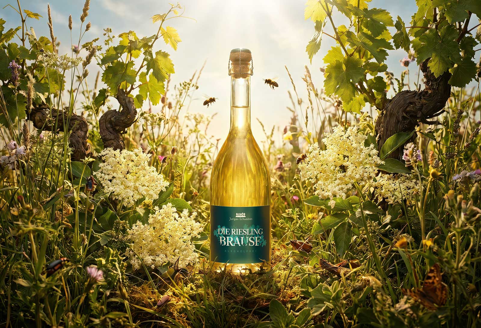dg hero projekt rieslingbrause natur