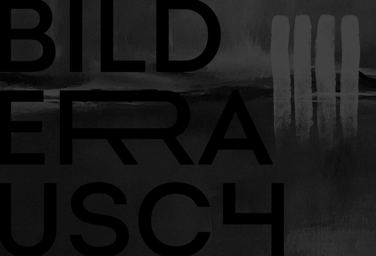 dg hero projekt sw bilderrausch