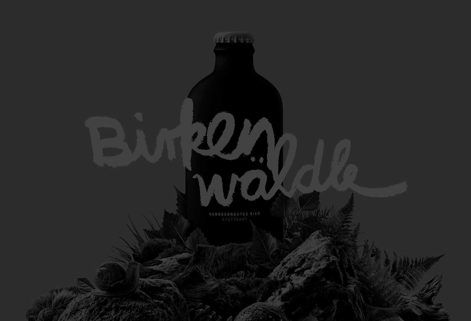 dg hero projekt sw birkenwaeldle