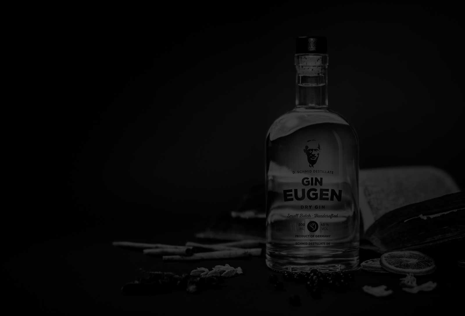 dg hero projekt sw gineugen