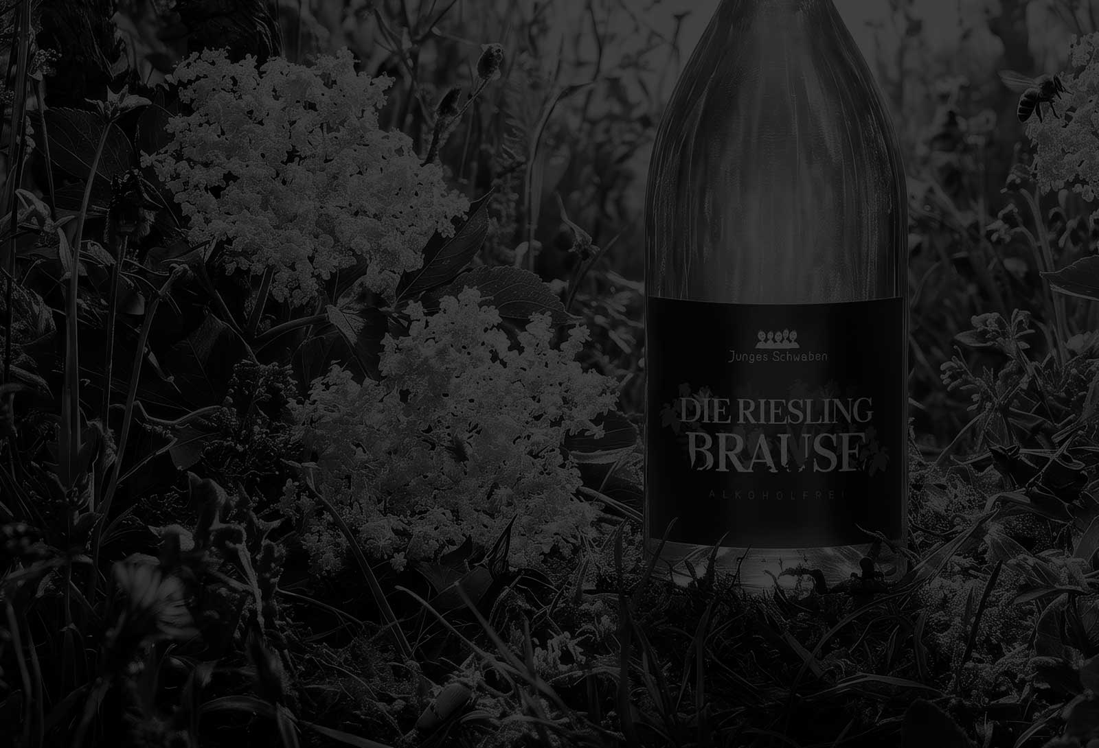 dg hero projekt sw rieslingbrause natur