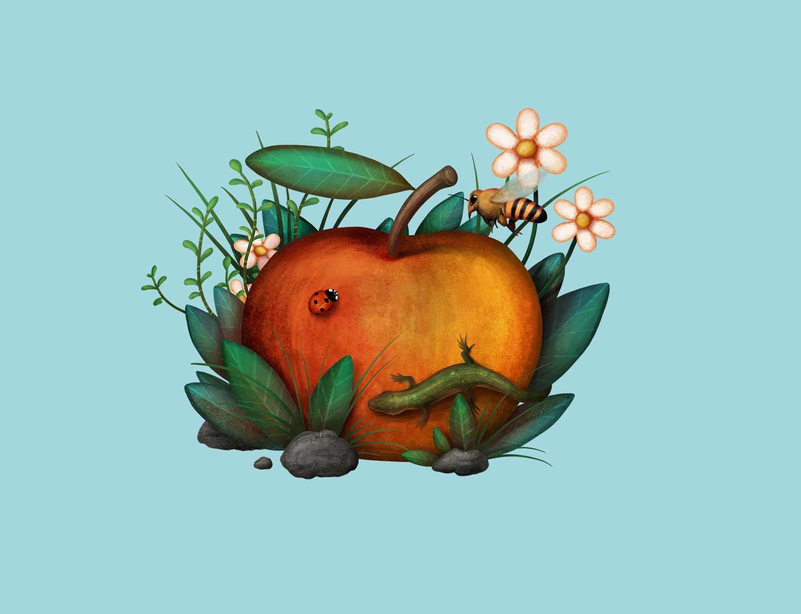 dg illustration istreuobst apfel