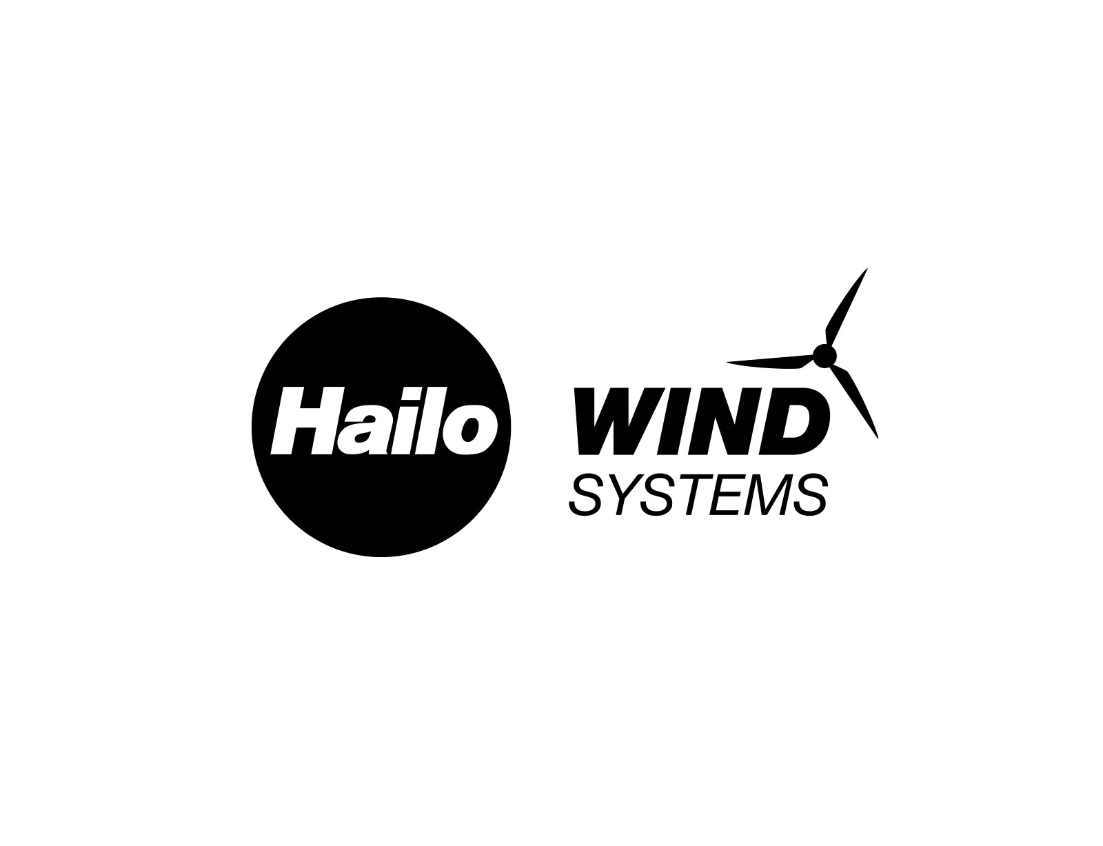 dg kunden und partner hailo